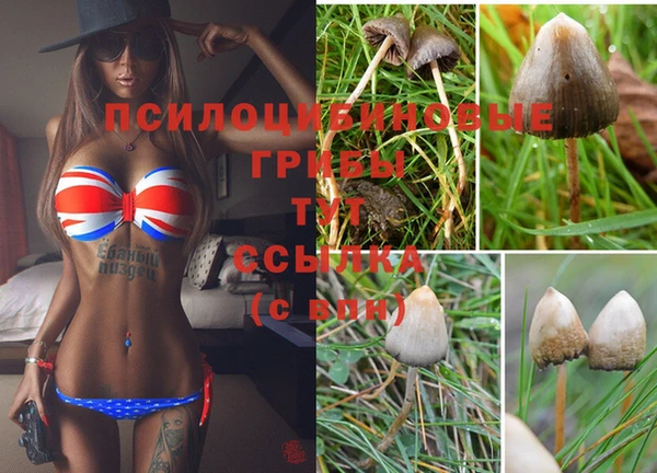 Альфа ПВП Алексеевка