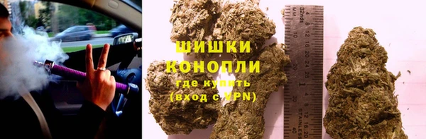 шишки Алзамай